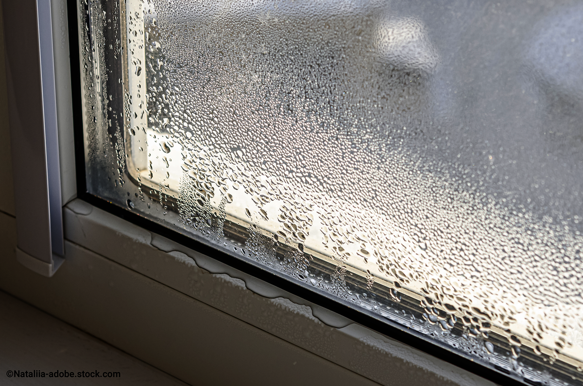 Kondenswasser an den Fenstern das hilft! Faßbender GmbH